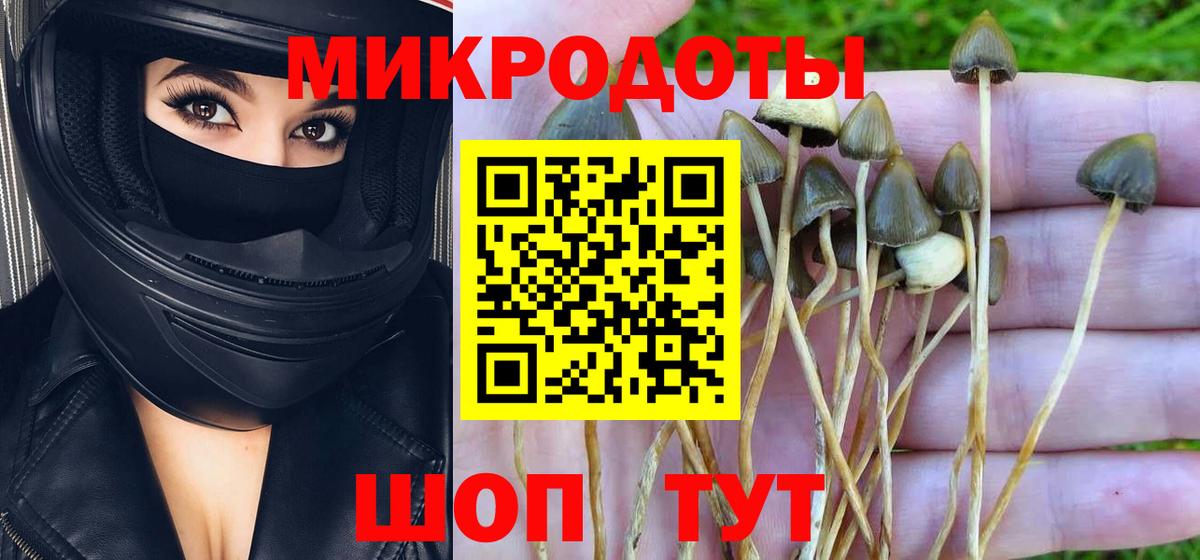 Галлюциногенные грибы прущие грибы Борисоглебск